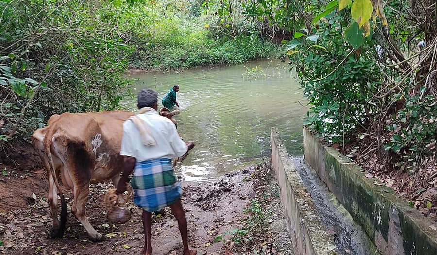 ಯಳಂದೂರು ತಾಲ್ಲೂಕಿನ ಅಂಬಳೆ ಗ್ರಾಮದಲ್ಲಿ ಚರಂಡಿ ನೀರು ನದಿ ಮೂಲ ಸೇರುತ್ತಿದೆ. ಗ್ರಾಮಸ್ಥರು ಅಲ್ಲೇ ಸ್ನಾನವನ್ನೂ ಮಾಡುತ್ತಾರೆ, ಜಾನುವಾರುಗಳನ್ನೂ ತೊಳೆಯುತ್ತಾರೆ