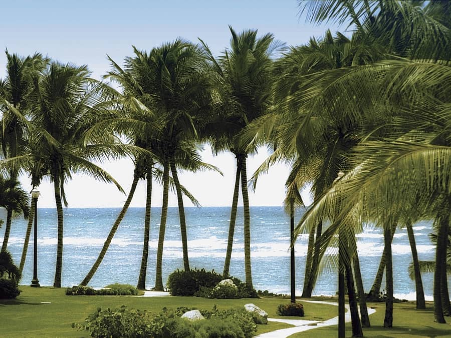 ಪ್ರಾತಿನಿಧಿಕ ಚಿತ್ರ