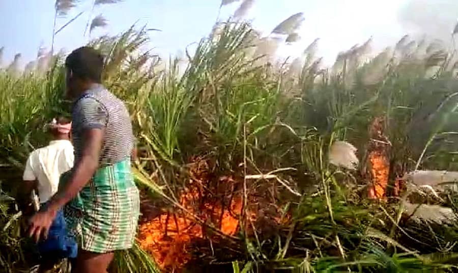 ಹಾವೇರಿ ತಾಲ್ಲೂಕು ವೆಂಕಟಾಪುರ ಗ್ರಾಮದ ಕಬ್ಬಿನ ಬೆಳೆಗೆ ತಗುಲಿದ ಬೆಂಕಿಯನ್ನು ನಂದಿಸಲು ರೈತರು ಹರಸಾಹಸ ಪಟ್ಟರು.
