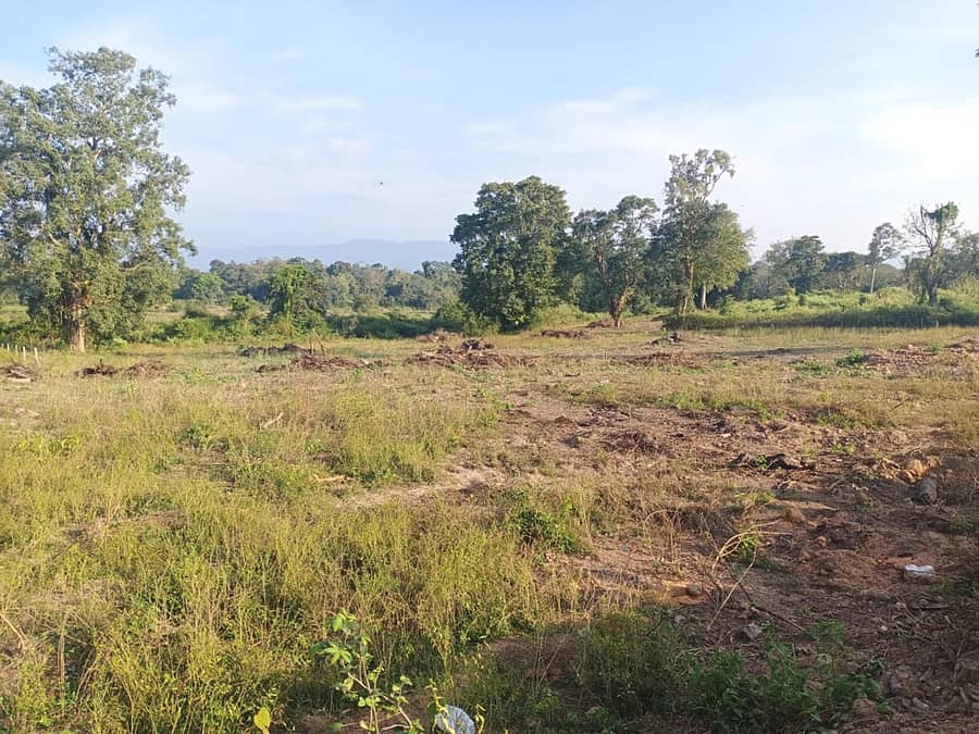 ನರಸಿಂಹರಾಜಪುರದಲ್ಲಿ ಪಟ್ಟಣ ಪಂಚಾಯಿತಿಯಿಂದ ನಿವೇಶನ ರಹಿತರಿಗೆ ನಿವೇಶನ ನೀಡಲು ಗುರುತಿಸಿರುವ ಜಾಗ