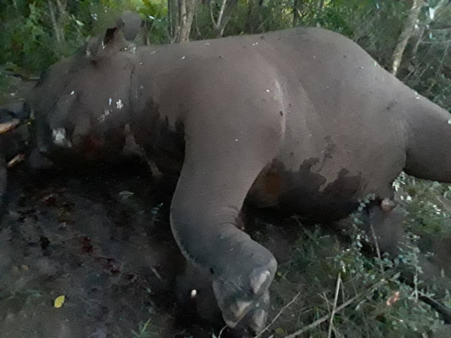 ಆನೇಕಲ್ ತಾಲ್ಲೂಕಿನ ಕಾಳೇಶ್ವರಿ ಗೇಟ್ನಲ್ಲಿ ಮೃತಪಟ್ಟಿರುವ ಕಾಡಾನೆ