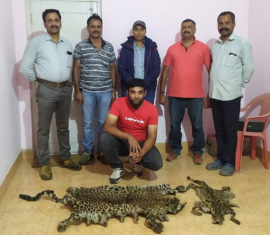 ಚಿರತೆ ಚರ್ಮವನ್ನು ಮಾರಾಟಕ್ಕೆ ಯತ್ನಿಸುತ್ತಿದ್ದ ವ್ಯಕ್ತಿಯನ್ನು ಅರಣ್ಯ ಸಂಚಾರಿ ದಳದ ಸಿಬ್ಬಂದಿ ಬಂಧಿಸಿರುವುದು