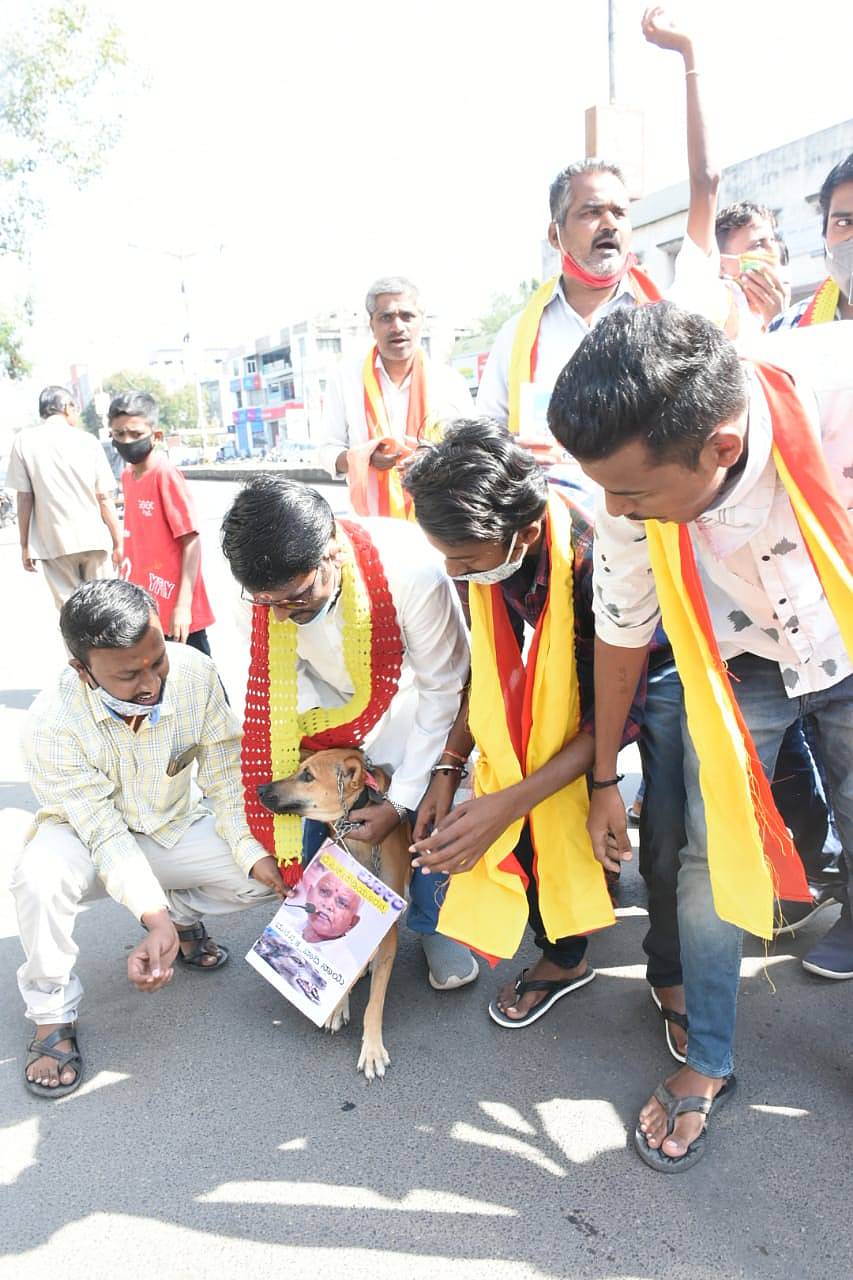 ಕಲಬುರ್ಗಿಯಲ್ಲಿ ಶನಿವಾರ ಕನ್ನಡಿಗರ ಸೈನ್ಯ ಸಂಘಟನೆ ಕಾರ್ಯಕರ್ತರು ನಾಯಿಗೆ ಯಡಿಯೂರಪ್ಪ ಅವರ ಭಾವಚಿತ್ರ ಹಾಕಿ ಆಕ್ರೋಶ ಹೊರಹಾಕಿದರು.