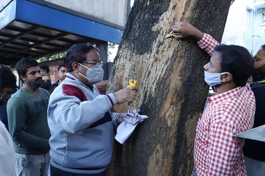 ‘ಮೊಳೆ ಮುಕ್ತ ಮರ’ ಅಭಿಯಾನಕ್ಕೆ ಎನ್.ಮಂಜುನಾಥ ಪ್ರಸಾದ್ ಅವರು ಚಿತ್ರ ಕಲಾ ಪರಿಷತ್ ಬಳಿ ಬುಧವಾರ ಚಾಲನೆ ನೀಡಿದರು