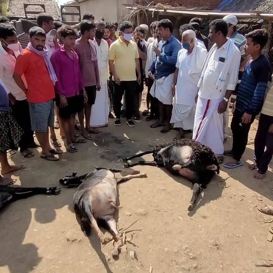 ಹೊನ್ನಾಳಿ ತಾಲ್ಲೂಕು ಸೊರಟೂರು ಗ್ರಾಮಕ್ಕೆ ಭೇಟಿ ನೀಡಿದ್ದ ಶಾಸಕ ಎಂ.ಪಿ. ರೇಣುಕಾಚಾರ್ಯ ಅಪಘಾತದಲ್ಲಿ ಶಾಂತವೀರಪ್ಪ ಅವರ ಕುಟುಂಬಸ್ಥರಿಂದ ಮಾಹಿತಿ ಪಡೆದರು