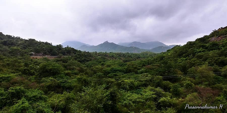 ದೇವರಾಯನ ದುರ್ಗ 