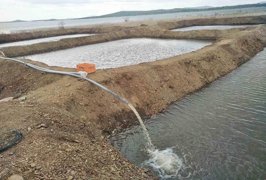 ವಾಣಿವಿಲಾಸ ಜಲಾಶಯದ ಹಿನ್ನೀರಿನ ರಂಗನಾಥಸ್ವಾಮಿ ದೇವಸ್ಥಾನದ ಸಮೀಪ ಮೀನುಮರಿ ಸಾಕಣೆಗೆ ನಿರ್ಮಿಸಿರುವ ಕೊಳಗಳು.