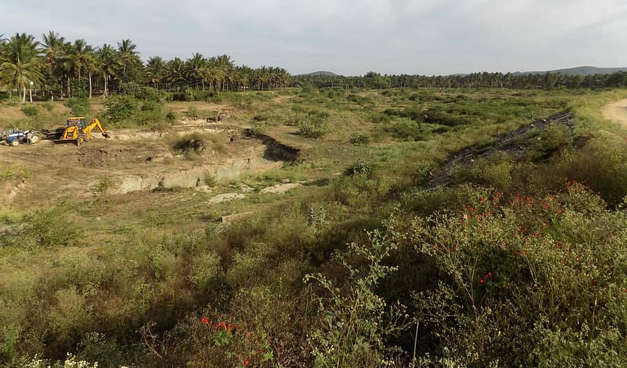 ಯಗಚಿ ಏತ ನೀರಾವರಿಯಿಂದ ವಂಚಿತವಾಗಿರುವ ಹಳೇಬೀಡು ಸಮೀಪದ ದಾಸಗೊಡ್ನಹಳ್ಳಿ ಕೆರೆ ಒಣಗಿರುವುದು