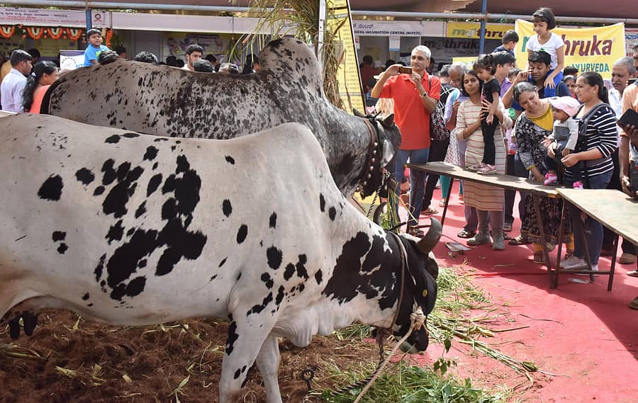 ಸಾಂದರ್ಭಿಕ ಚಿತ್ರ