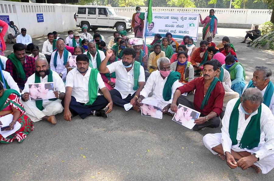 ಹಾಸನ ಜಿಲ್ಲಾಧಿಕಾರಿ ಕಚೇರಿ ಎದುರು ರೈತ ಸಂಘದ ಮುಖಂಡರು ಧರಣಿ ನಡೆಸಿದರು.