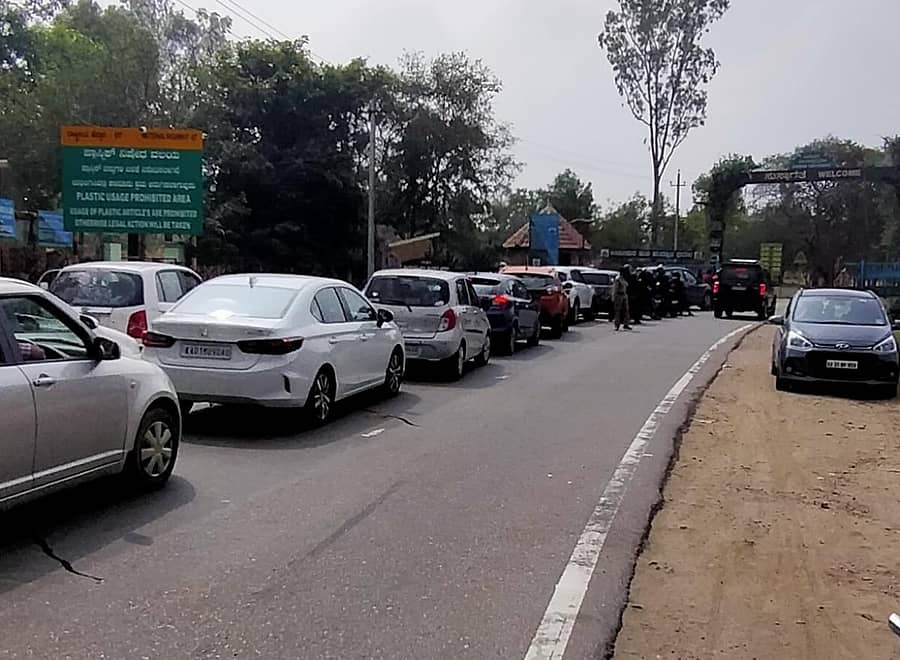 ಬಂಡೀಪುರದ ಮೇಲುಕಾಮನಹಳ್ಳಿ ಚೆಕ್‌ಪೋಸ್ಟ್ ಬಳಿ ಸರತಿ ಸಾಲಿನಲ್ಲಿ ನಿಂತಿದ್ದ ವಾಹನಗಳು