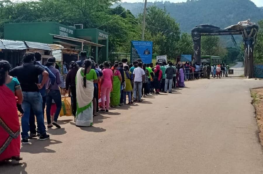 ಬಂಡೀಪುರ ಸಫಾರಿಗಾಗಿ ಸರತಿ ಸಾಲಿನಲ್ಲಿ ನಿಂತಿದ್ದ ಪ್ರವಾಸಿಗರು