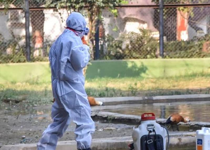 ಸಾಂಕೇತಿಕ ಚಿತ್ರ