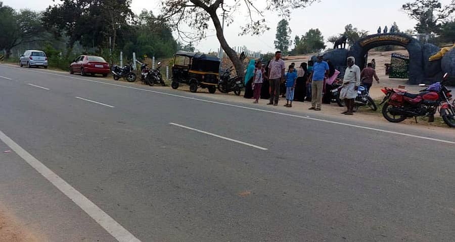 ಪಾವಗಡದ ಸಾಲು ಮರದ ತಿಮ್ಮಕ್ಕ ಸಸ್ಯೋದ್ಯಾನದ ಮುಂಭಾಗದ ರಸ್ತೆ