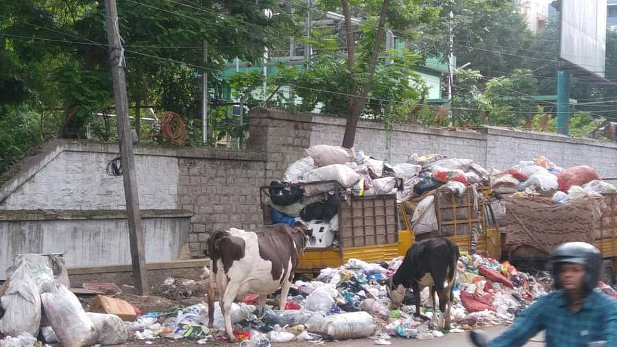 ಕಸ ವಿಲೇವಾರಿಯಾಗದಿರುವುದು–ಸಾಂದರ್ಭಿಕ ಚಿತ್ರ