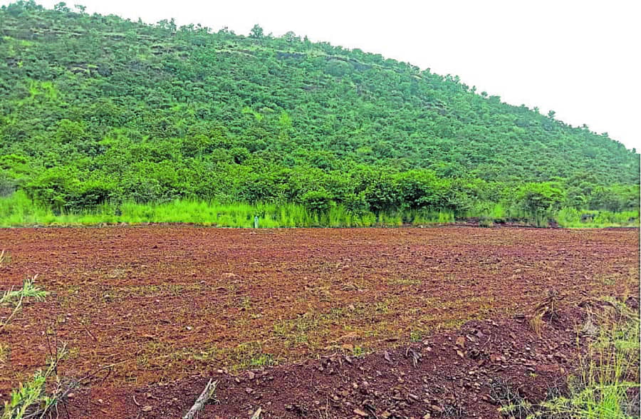 ಹೊಸದುರ್ಗ ತಾಲ್ಲೂಕಿನಲ್ಲಿ ಕುದುರೆ ಕಣಿವೆ ಅರಣ್ಯ ಪ್ರದೇಶವನ್ನು ಒತ್ತುವರಿ ಮಾಡಿರುವುದು