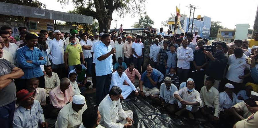 ಬೆಳಗಾವಿ ಹೊರವಲಯದ ಕಣಬರ್ಗಿಯಲ್ಲಿ ಬಿಡಾಡಿ ದನ–ಕರುಗಳು ಬೆಳೆ ಹಾನಿ ಮಾಡುತ್ತಿರುವುದನ್ನು ತಪ್ಪಿಸುವಂತೆ ಆಗ್ರಹಿಸಿ ರೈತರು ಬುಧವಾರ ರಸ್ತೆ ತಡೆ ನಡೆಸಿದರುಪ್ರಜಾವಾಣಿ ಚಿತ್ರ