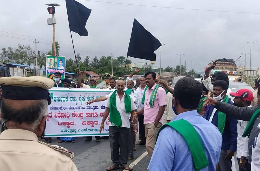 ಕೋಲಾರ ಜಿಲ್ಲೆ ಮುಳಬಾಗಿಲು ತಾಲ್ಲೂಕಿನಲ್ಲಿ ಬುಧವಾರ ರೈತರೊಂದಿಗೆ ಒಂದು ದಿನ ಕಾರ್ಯಕ್ರಮದ ವೇಳೆ ಎತ್ತಿನ ಗಾಡಿಯಲ್ಲಿ ಮೆರವಣಿಗೆ ಬರುತ್ತಿದ್ದ ಕೃಷಿ ಸಚಿವ ಬಿ.ಸಿ.ಪಾಟೀಲ ಅವರಿಗೆ ರಾಜ್ಯ ರೈತ ಸಂಘ ಮತ್ತು ಹಸಿರು ಸೇನೆ ಸದಸ್ಯರು ಕಪ್ಪು ಬಾವುಟ ಪ್ರದರ್ಶಿಸಿದರು.
