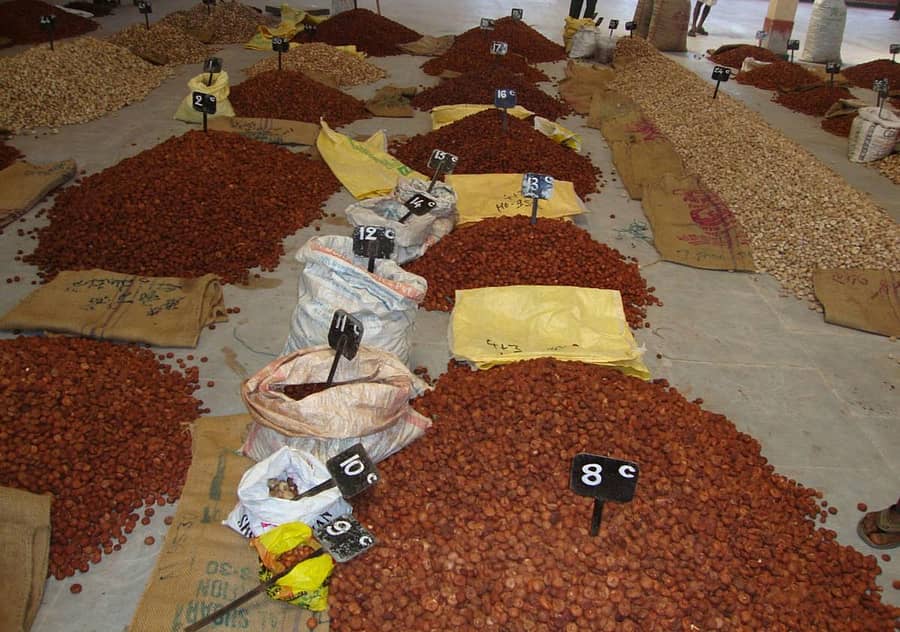 ಶಿರಸಿಯ ಟಿಎಸ್ಎಸ್ ವ್ಯಾಪಾರಿ ಅಂಗಳದಲ್ಲಿ ವಹಿವಾಟಿಗೆ ಬಂದಿರುವ ರಾಶಿ ಅಡಿಕೆ (ಕೆಂಪಡಿಕೆ)