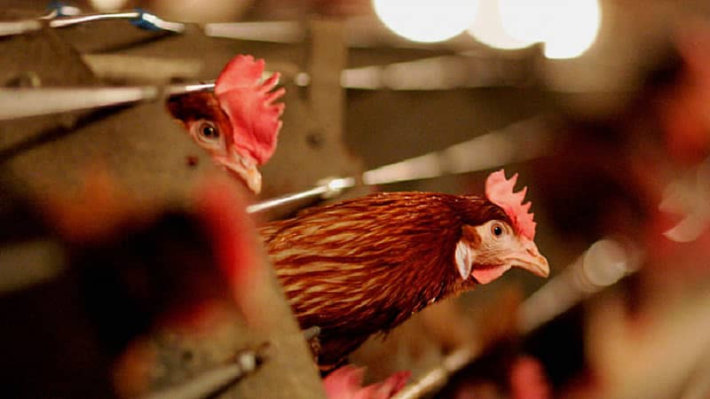 ಸಾಂದರ್ಭಿಕ ಚಿತ್ರ