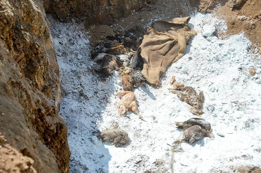 ಪ್ರಾತಿನಿಧಿಕ ಚಿತ್ರ