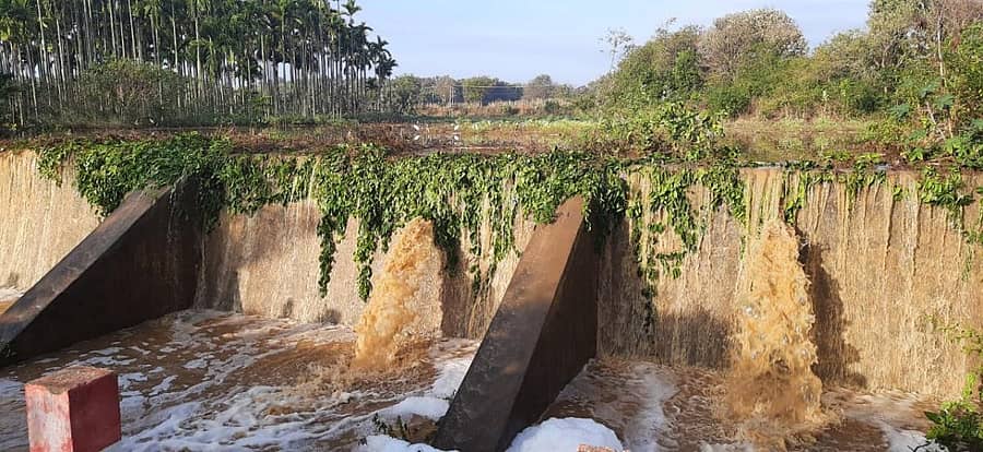 ಶುಕ್ರವಾರ ರಾತ್ರಿ ಸುರಿದ ಮಳೆಗೆ ಸೀಗೇಹಳ್ಳಿ ಗ್ರಾಮದ ಚೆಕ್ಡ್ಯಾಂ ತುಂಬಿ ಹರಿಯಿತು