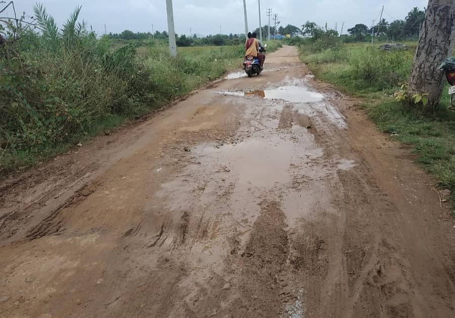ನಾಗಮಂಗಲ ಪುರಸಭೆಗೆ ನೂತನವಾಗಿ ಸೇರ್ಪಡೆಯಾದ ಗದ್ದೇಭೂವನಹಳ್ಳಿ ಗ್ರಾಮದಲ್ಲಿ ರಸ್ತೆ ಡಾಂಬರು ಕಾಣದೆ ಗುಂಡಿಗಳಿಂದ ಕೂಡಿರುವುದು