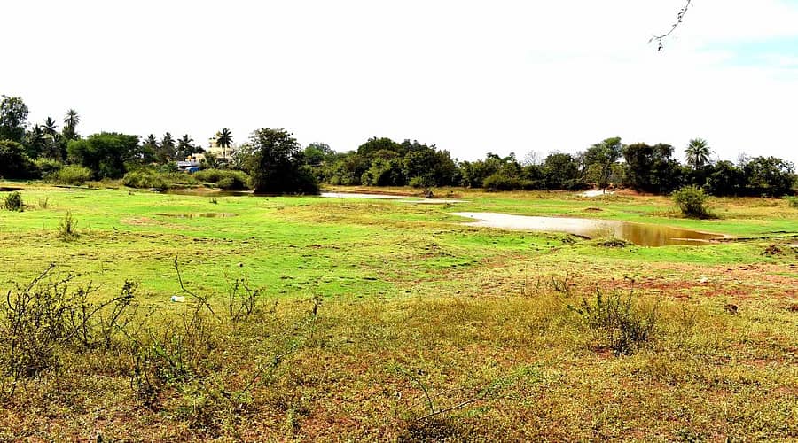 ರೋಟರಿ ಸಂಸ್ಥೆ ಅಭಿವೃದ್ದಿ ಪಡಿಸುತ್ತಿರುವ ಶಾನುಭೋಗನಹಳ್ಳಿ ಗ್ರಾಮದ ಕೆರೆಯ ನೋಟ