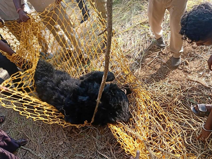 ಪ್ರಾತಿನಿಧಿಕ ಚಿತ್ರ 