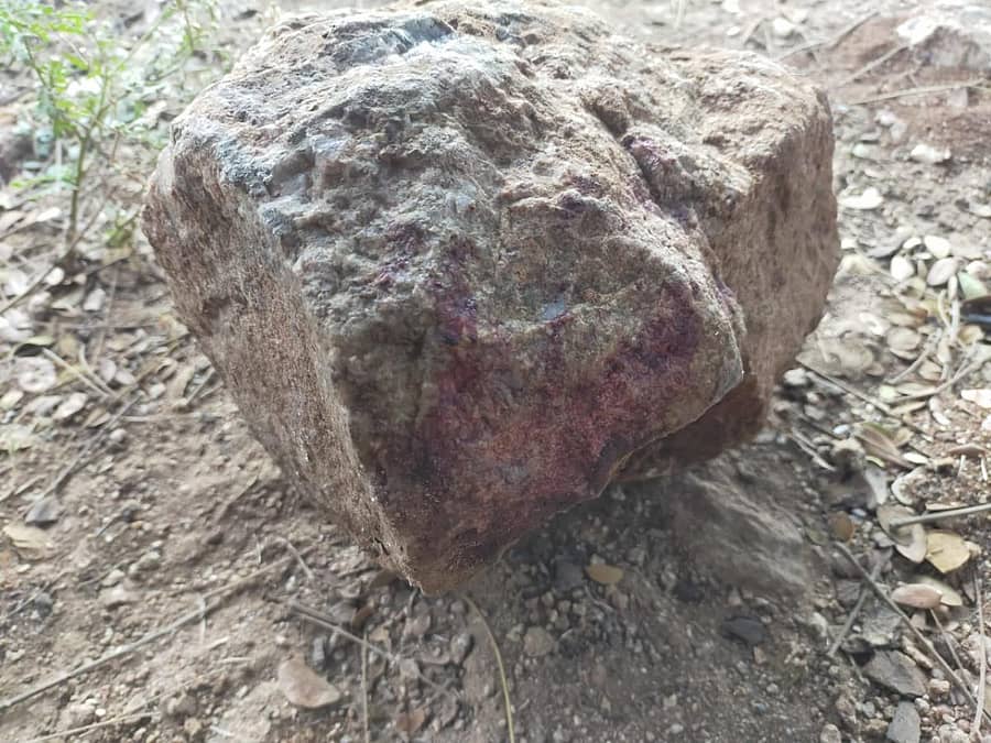 ಕೃತ್ಯಕ್ಕೆ ಬಳಸಿದ ಕಲ್ಲು ರಕ್ತಸಿಕ್ತವಾಗಿರುವುದು