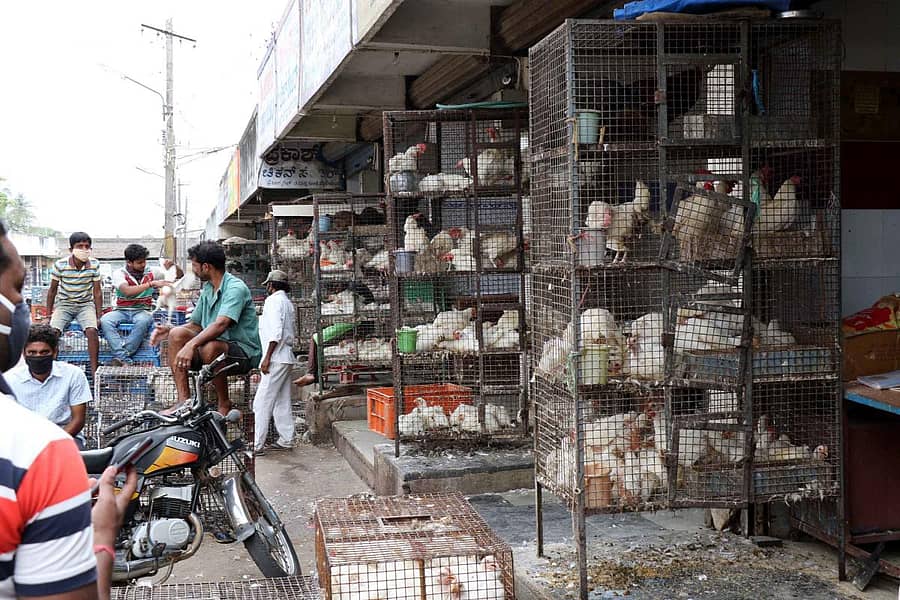 ಹಾಸನದ ಸಂತೆಪೇಟೆ ಬಳಿ ಕೋಳಿ ಮಾಂಸ ಮಾರಾಟ ಮಳಿಗೆಗಳು.