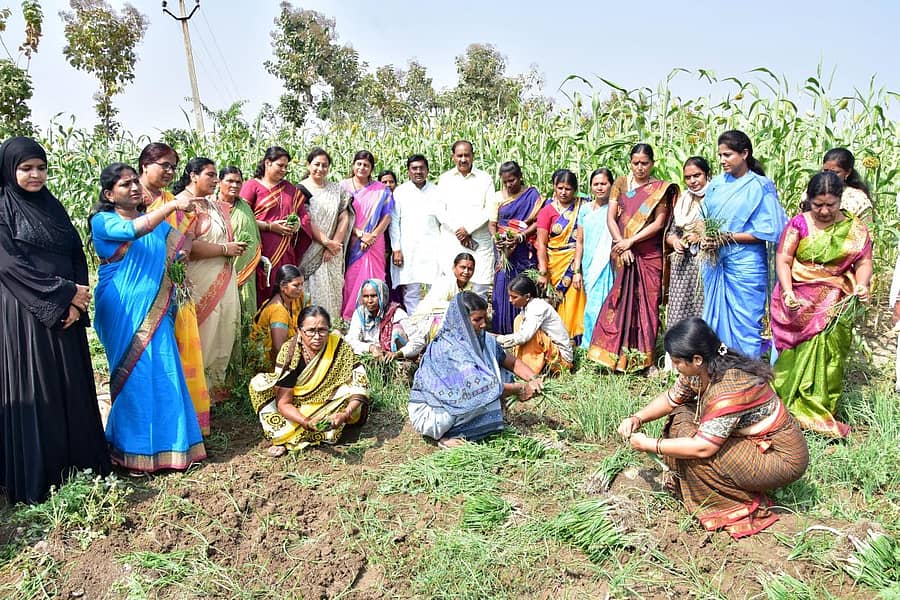 ಮಹಿಳಾ ಕಾಂಗ್ರೆಸ್ ನಡಿಗೆ ಅನ್ನದಾತರ ಕಡೆಗೆ ಅಭಿಯಾನದ ಅಂಗವಾಗಿ ರಾಜ್ಯ ಮಹಿಳಾ ಕಾಂಗ್ರೆಸ್ ಅಧ್ಯಕ್ಷೆ ಪುಷ್ಪಾ ಅಮರನಾಥ ನೇತೃತ್ವದಲ್ಲಿ ಮಹಿಳಾ ಕಾಂಗ್ರೆಸ್ ಕಾರ್ಯಕರ್ತೆಯರು ಕಲಬುರ್ಗಿ ತಾಲ್ಲೂಕಿನ ಬಬಲಾದ ಎಸ್ ಗ್ರಾಮದ ಹೊಲಕ್ಕೆ ಮಂಗಳವಾರ ಭೇಟಿ ನೀಡಿದ್ದರು. ಜಿಲ್ಲಾ ಕಾಂಗ್ರೆಸ್ ಸಮಿತಿ ಅಧ್ಯಕ್ಷ ಜಗದೇವ ಗುತ್ತೇದಾರ, ವಿಧಾನಪರಿಷತ್ ಮಾಜಿ ಸದಸ್ಯ ಅಲ್ಲಮಪ್ರಭು ಪಾಟೀಲ, ಜಿಲ್ಲಾ ಮಹಿಳಾ ಕಾಂಗ್ರೆಸ್ ಅಧ್ಯಕ್ಷೆ ಲತಾ ರಾಠೋಡ, ಚಂದ್ರಿಕಾ ಪರಮೇಶ್ವರ, ರೇಣುಕಾ ಚವ್ಹಾಣ, ಸವಿತಾ ಸಜ್ಜನ, ಮಹೇಶ್ವರಿ ವಾಲಿ ಇತರರು ಇದ್ದರು