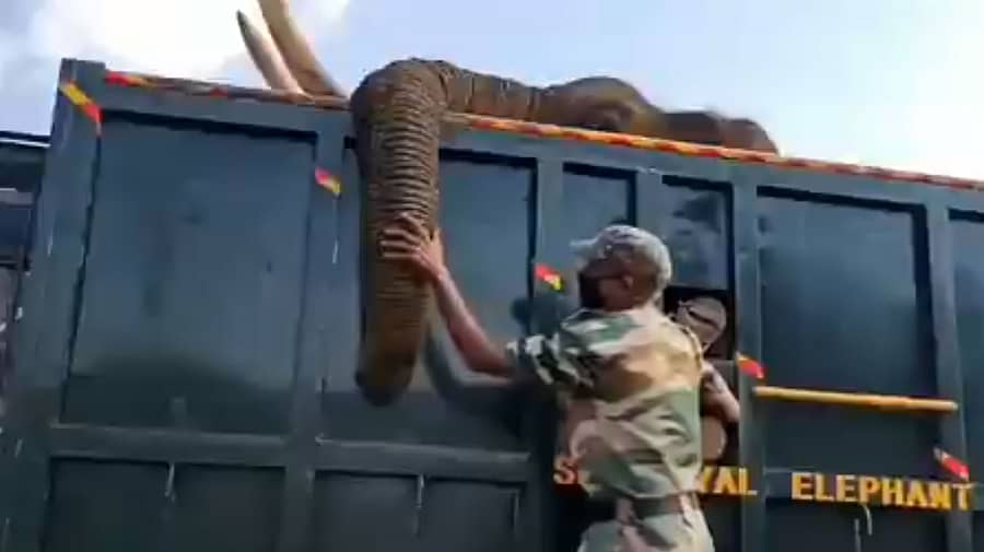 ಬೆಂಕಿಯಿಂದ ತೀವ್ರ ಗಾಯಗೊಂಡ ಆನೆಯ ಸೊಂಡಿಲು ಹಿಡಿದು ರೋಧಿಸುತ್ತಿರುವ ಅರಣ್ಯ ಸಿಬ್ಬಂದಿ