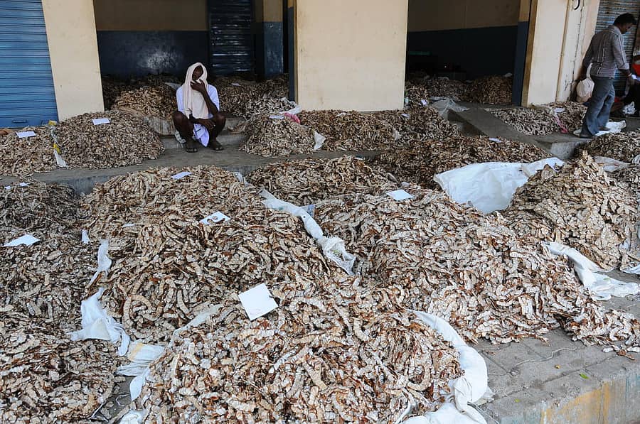 ಪ್ರಾತಿನಿಧಿಕ ಚಿತ್ರ