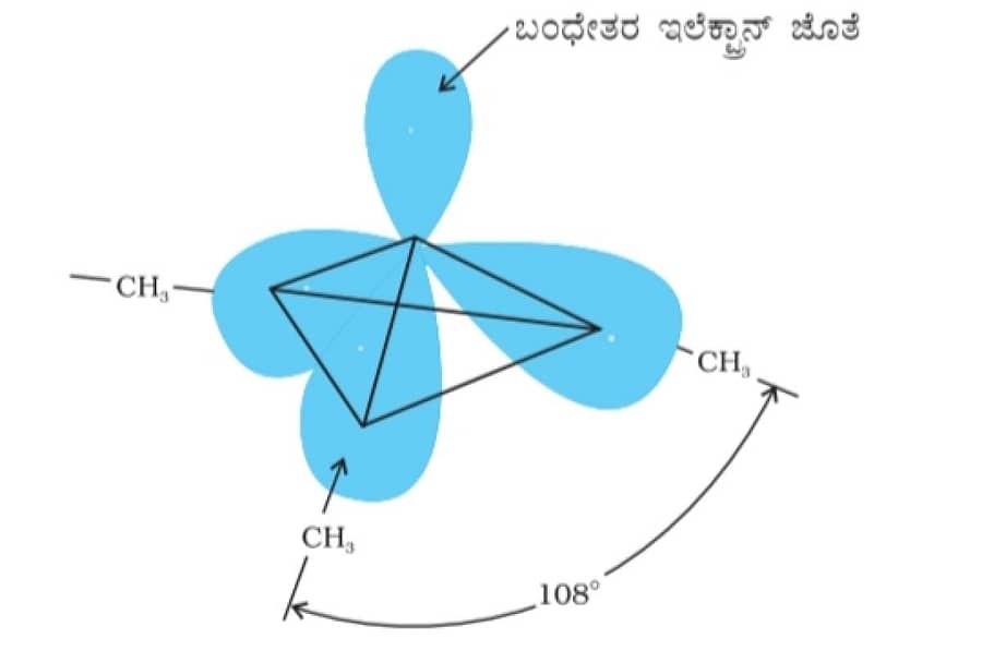 (ಚಿತ್ರ 13.1)