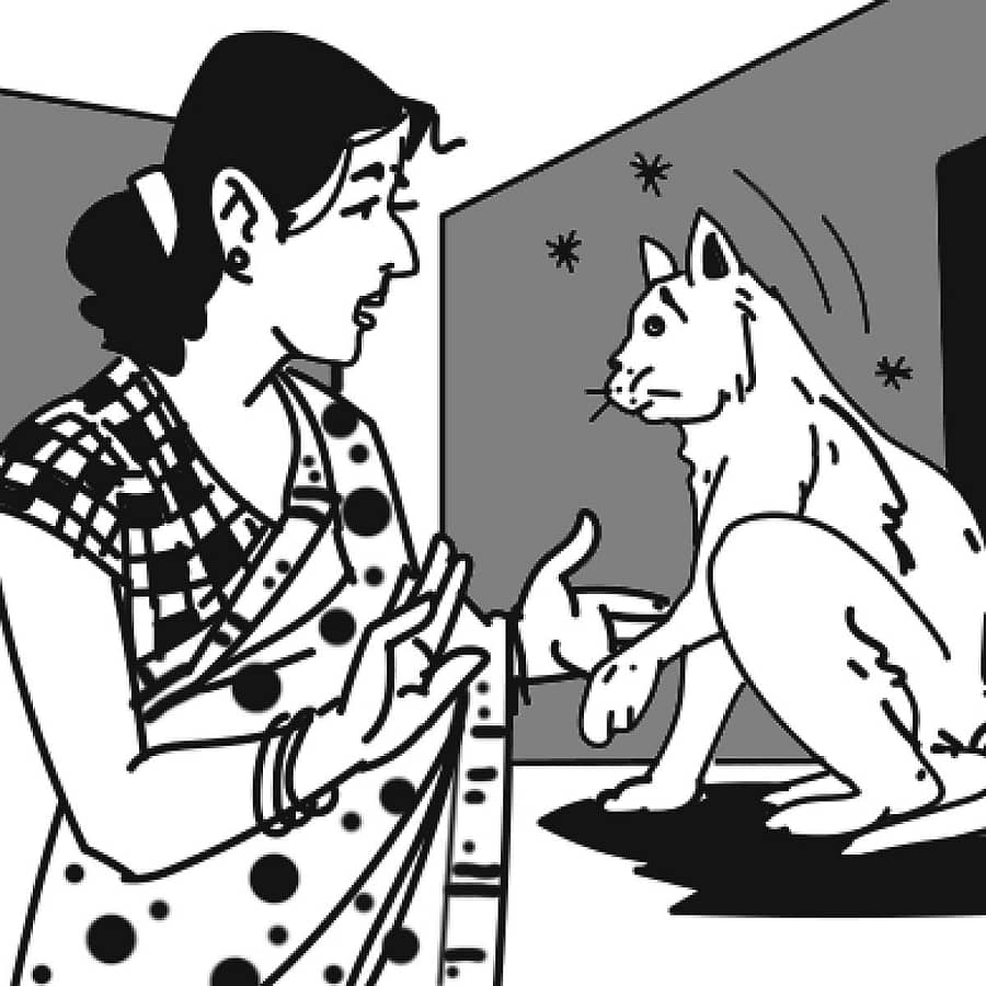 ಪ್ರಾತಿನಿಧಿಕ ಚಿತ್ರ