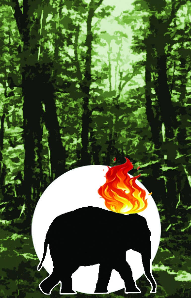 ಪ್ರಾತಿನಿಧಿಕ ಚಿತ್ರ