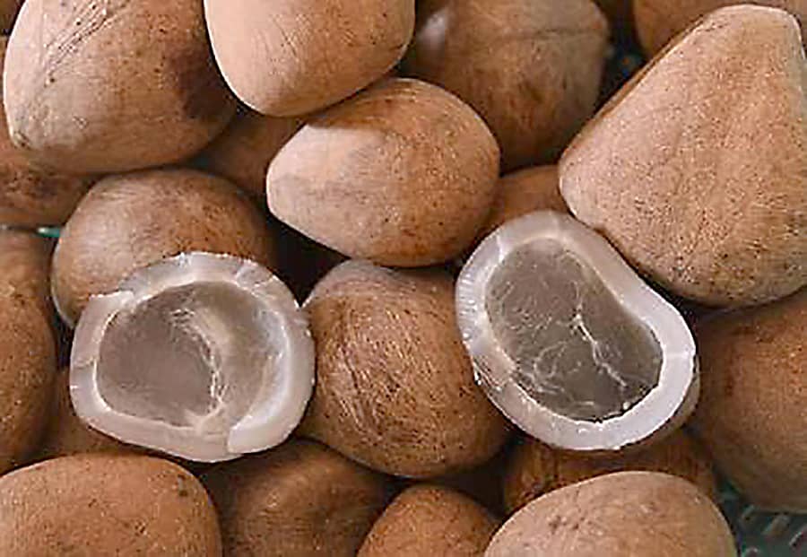 ಸಾಂದರ್ಭಿಕ ಚಿತ್ರ