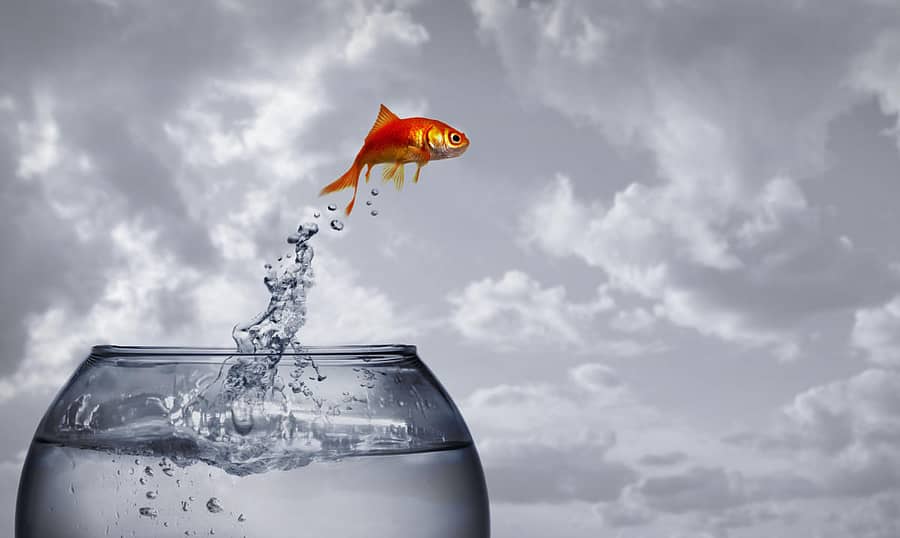 ಆಸೆಯ ಬಲೆ