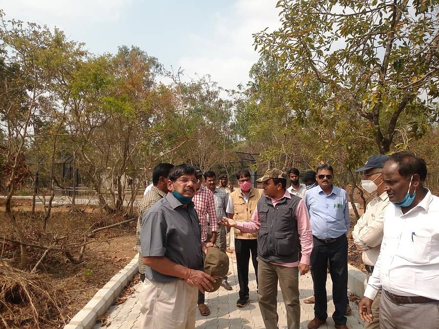 ಬೆಳಗಾವಿ ತಾಲ್ಲೂಕಿನ ಭೂತರಾಮನಹಟ್ಟಿಯಲ್ಲಿ ‘ಟೈಗರ್‌ ಸಫಾರಿ’ಗೆ ಮಾಡಿರುವ ವ್ಯವವ್ಥೆಯನ್ನು ಕರ್ನಾಟಕ ಮೃಗಾಲಯ ಪ್ರಾಧಿಕಾರದ ಸದಸ್ಯ ಕಾರ್ಯದರ್ಶಿ ಬಿ.‍ಪಿ. ರವಿ ಮಂಗಳವಾರ ಪರಿಶೀಲಿಸಿದರು 