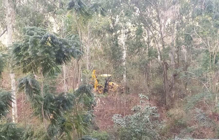 ತುರಹಳ್ಳಿ ಅರಣ್ಯಪ್ರದೇಶದಲ್ಲಿ ‘ಮರಗಳ ಉದ್ಯಾನ’ಕ್ಕಾಗಿ ಮರಗಳನ್ನು ಬುಲ್ಡೋಜರ್ಗಳ ಸಹಾಯದಿಂದ ತೆರವುಗೊಳಿಸಲಾಗುತ್ತಿದೆ