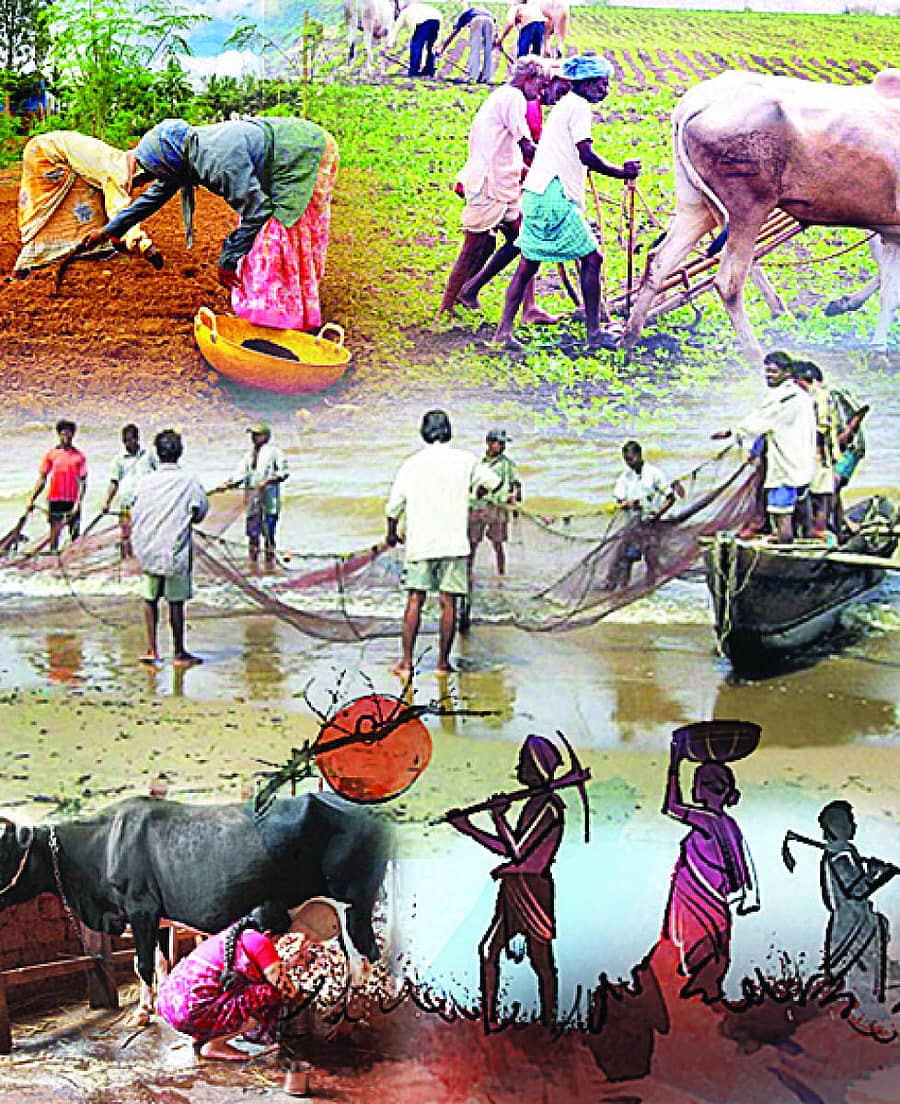 ಸಾಂಕೇತಿಕ ಚಿತ್ರ