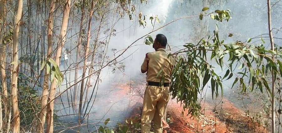 ಶಿಡ್ಲಘಟ್ಟ ತಾಲ್ಲೂಕಿನ ಸೊಣ್ಣೇನಹಳ್ಳಿಯಲ್ಲಿ ನೀಲಗಿರಿ ತೋಪಿನಲ್ಲಿ ಅಗ್ನಿಶಾಮಕ ದಳ ಮತ್ತು ಗ್ರಾಮಸ್ಥರು ಬೆಂಕಿ ನಂದಿಸಿದರು