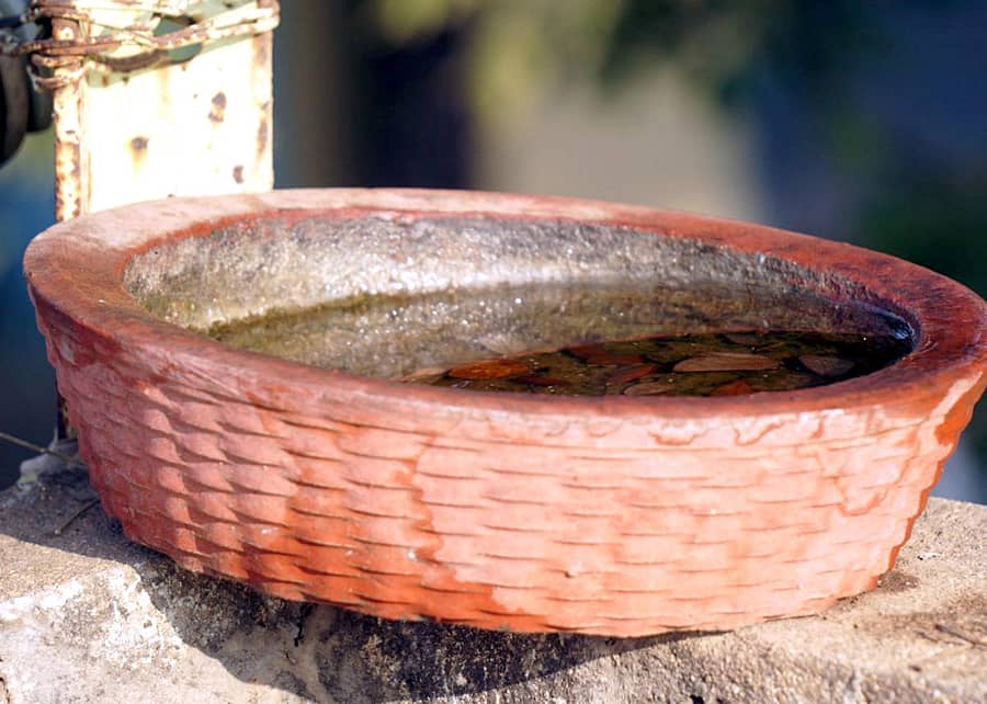 ನೀರಿನ ಬೊಗಣೆ