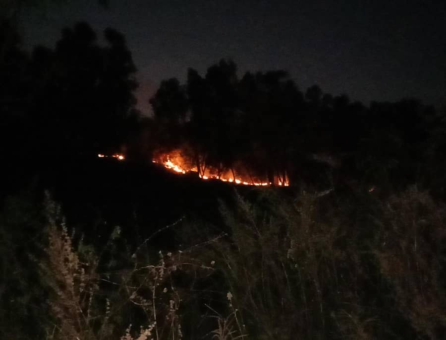 ಹಳೇಬೀಡು ಸಮೀಪದ ರಾಶಿಗುಡ್ಡ ಅರಣ್ಯ ಮಂಗಳವಾರ ರಾತ್ರಿ ಬೆಂಕಿಯಲ್ಲಿ ಹೊತ್ತಿ ಉರಿಯಿತು