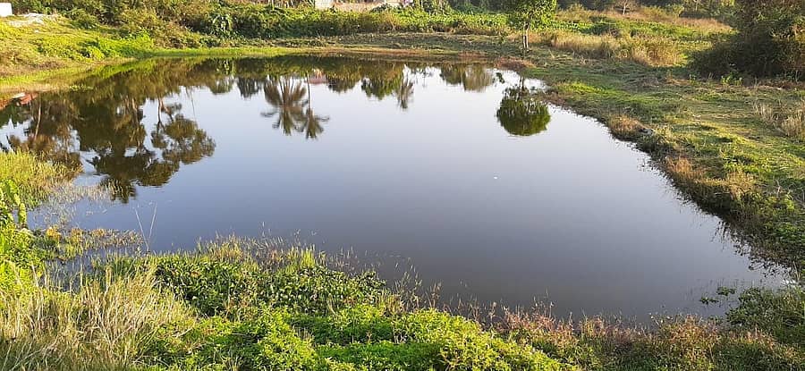 ಶಿವಕೇರಿಯ ಅಕ್ಕಚ್ಚಮ್ಮನ ಕೆರೆ