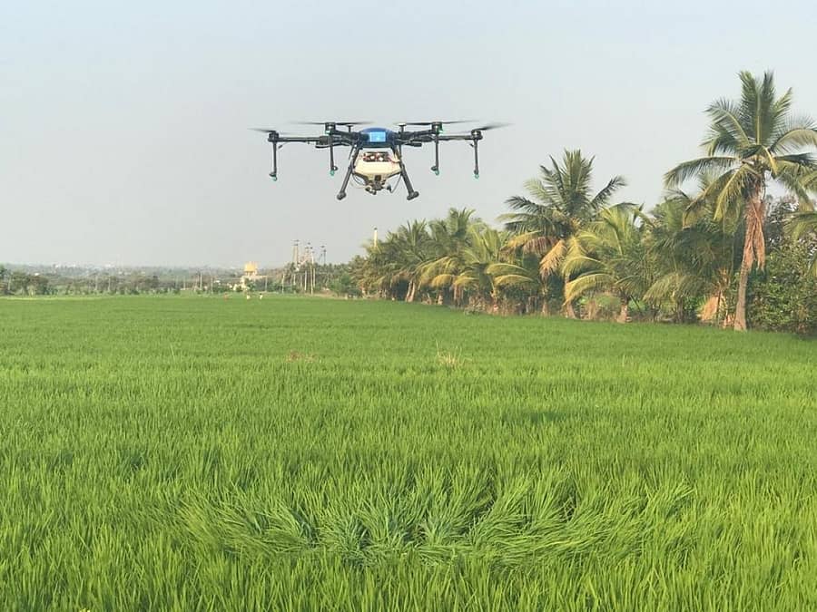 ಗಂಗಾವತಿ ತಾಲ್ಲೂಕಿನ ಜಂಗಮರ ಕಲ್ಗುಡಿ ಗ್ರಾಮದಲ್ಲಿ ಭತ್ತದ ಜಮೀನಿಗೆ ರಾಸಾಯನಿಕ ಸಿಂಪಡಣೆಗೆ ದ್ರೋಣ್ ಬಳಕೆ ಮಾಡಿರುವುದು.