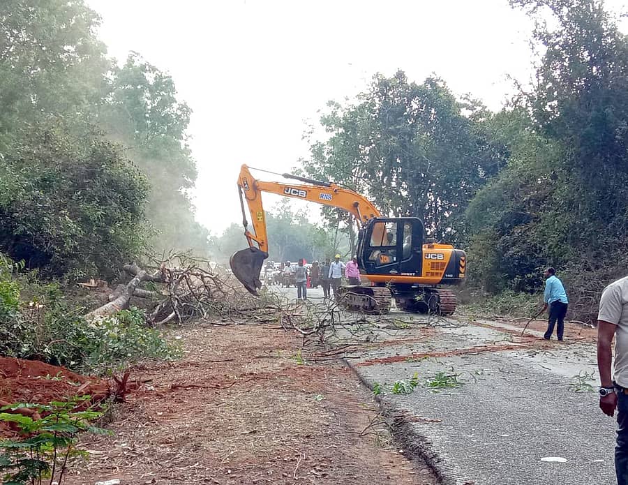 ರಾಷ್ಟ್ರೀಯ ಹೆದ್ದಾರಿ ಕಾಮಗಾರಿ ಸಲುವಾಗಿ ಶಿರಸಿ ಸಮೀಪ ಗಿಡ, ಮರಗಳನ್ನು ತೆರವು ಮಾಡುತ್ತಿರುವುದು