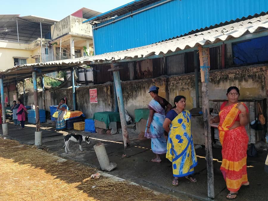 ಮಂಗಳೂರು ಹಳೆ ಬಂದರಿನ ಶಿಥಿಲಾವಸ್ಥೆಯ ಮೀನು ಕತ್ತರಿಸುವ ಶೆಡ್