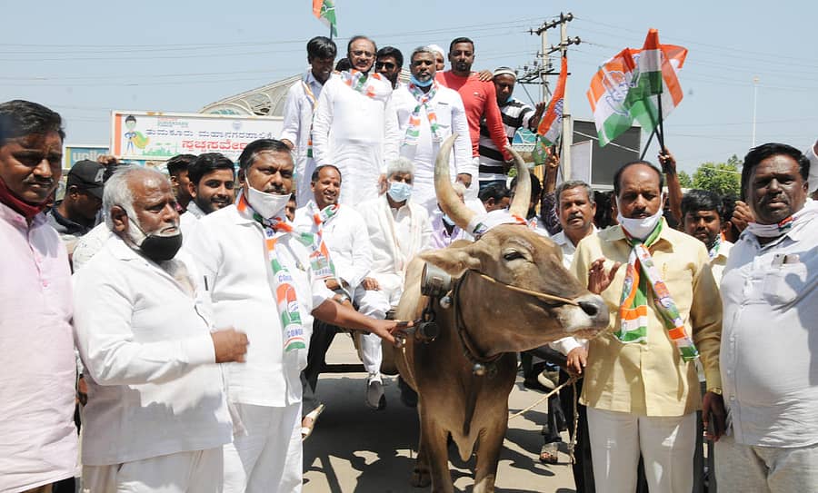 ತುಮಕೂರಿನಲ್ಲಿ ಕಾಂಗ್ರೆಸ್ ಕಾರ್ಯಕರ್ತರು ಎತ್ತಿನಗಾಡಿ ಜಾಥಾ ನಡೆಸಿದರು